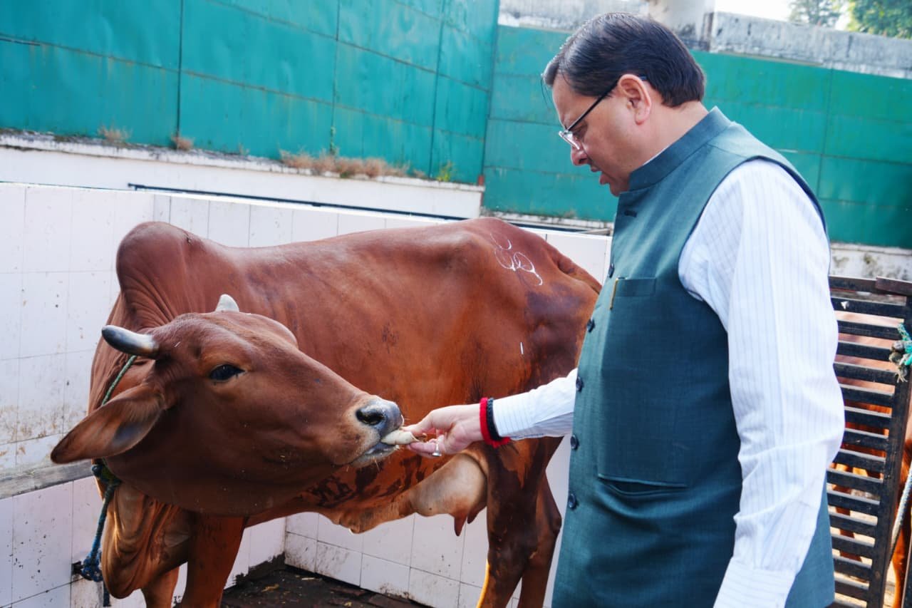 मुख्यमंत्री धामी ने गोवर्धन पूजा के अवसर पर सीएम आवास में किया गौ पूजन